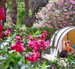 La Baume – La Palmeraie : un camping et résidence des plus agréables de Fréjus