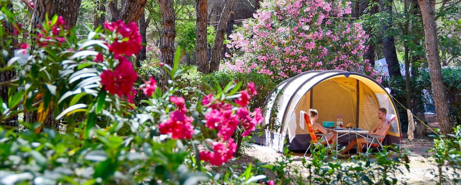 La Baume – La Palmeraie : un camping et résidence des plus agréables de Fréjus