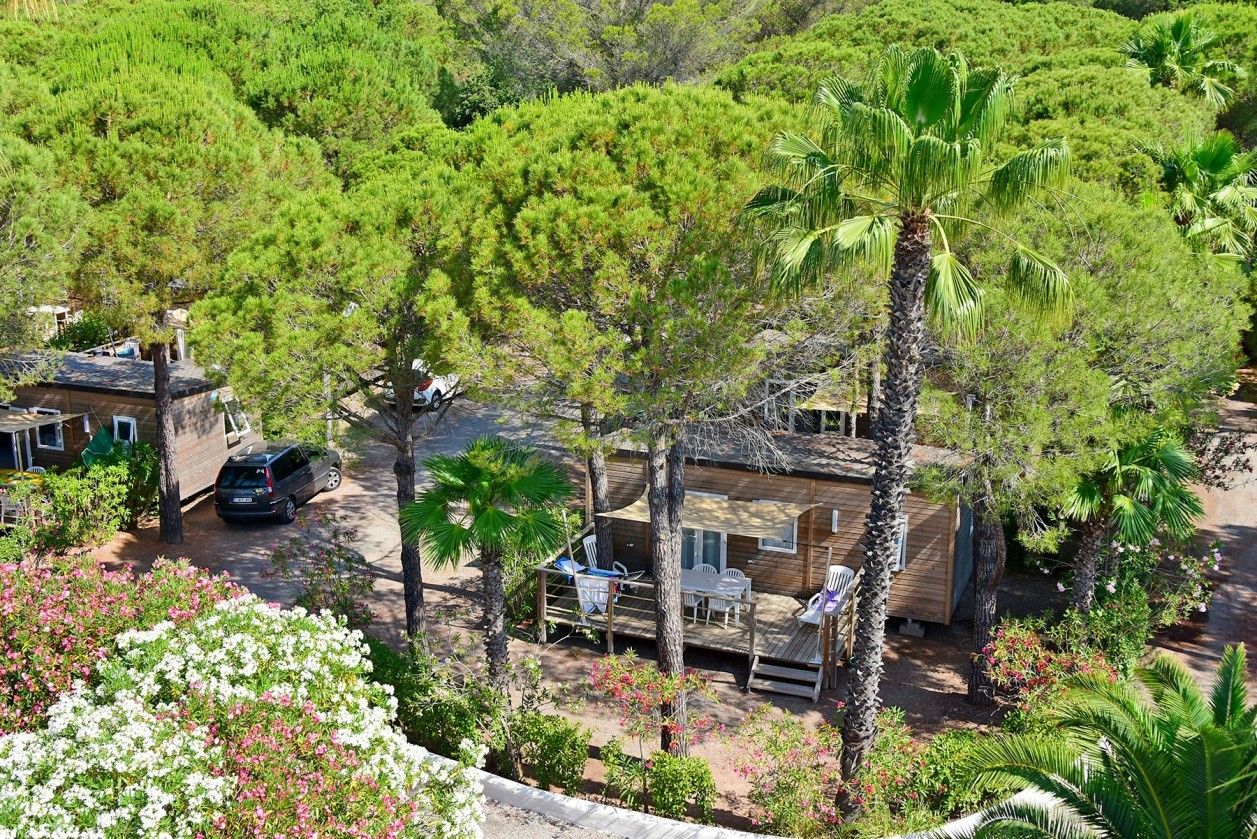 A découvrir : le vaste espace vacances du Var de La Baume – La Palmeraie !